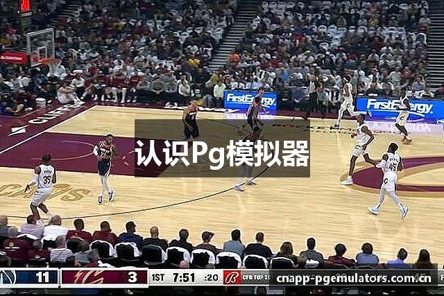 认识Pg模拟器